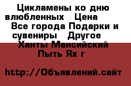 Цикламены ко дню влюбленных › Цена ­ 180 - Все города Подарки и сувениры » Другое   . Ханты-Мансийский,Пыть-Ях г.